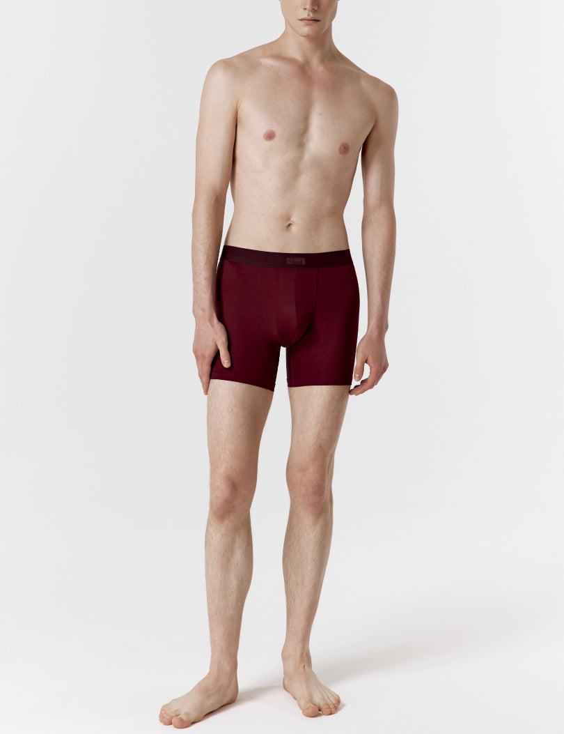 HOLIDAY MEN'S DRAWERS